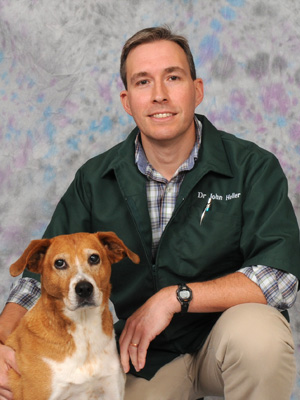 middletown veterinarian