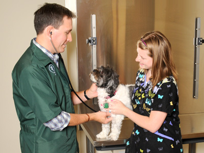 Middletown Pet Health